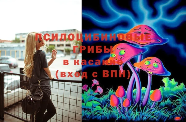 MDMA Богородск